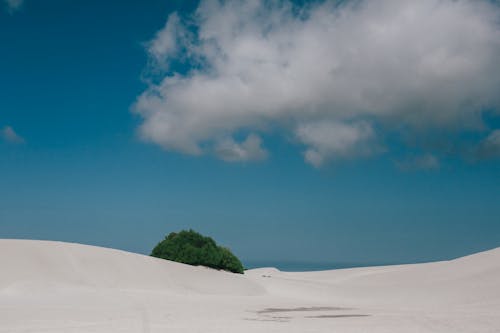 Základová fotografie zdarma na téma bez vody, čirý, čistý