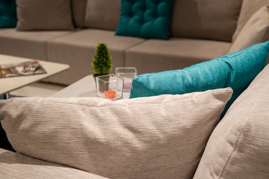 Stylish indoor living room with a modern sofa, colorful pillows, and home decor.