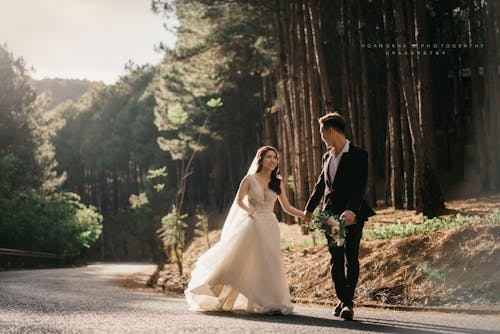 Free stock photo of bridal, couple, prewedding