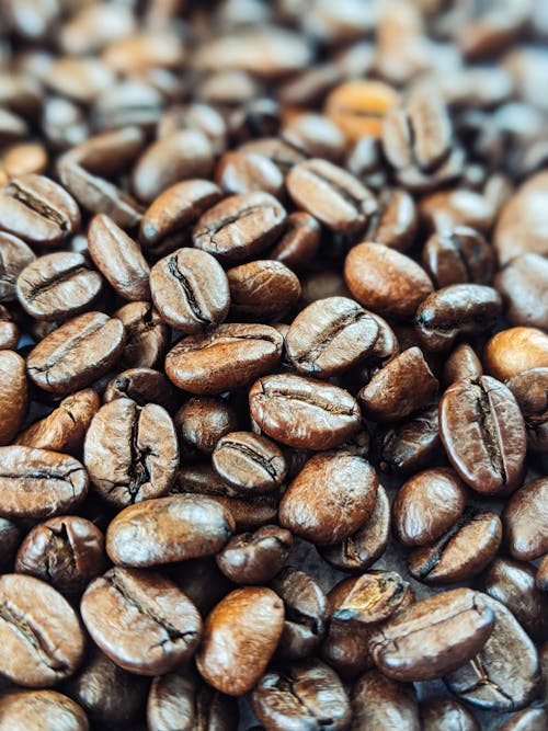 Free Brown Coffee Beans in Close Up Photography Stock Photo