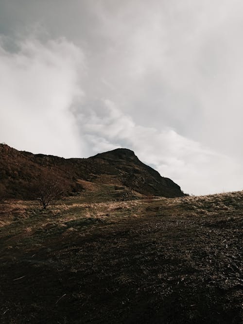 High rocky formation with bush in highland under gray sky in overcast weather