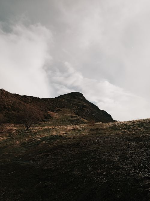 Free High rocky formation with bush in highland under gray sky in overcast weather Stock Photo