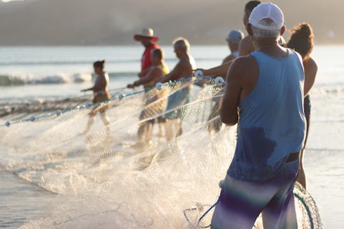 Free People pulling a Fishing Net  Stock Photo