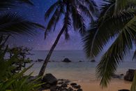 在夏威夷宁静的热带海滩上，棕榈树在充满活力的星空下摇曳