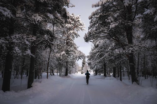 Gratis lagerfoto af aktiv, aktivitet, Anonym