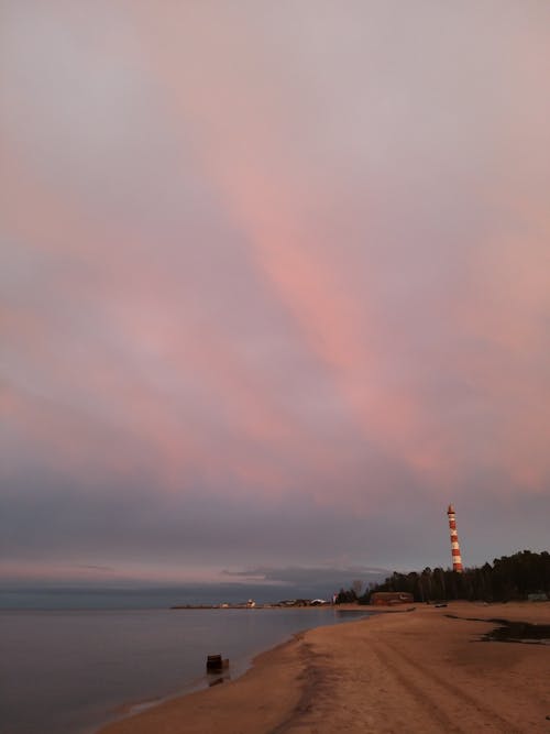 ピンクの空, 夕方, 夕暮れの無料の写真素材