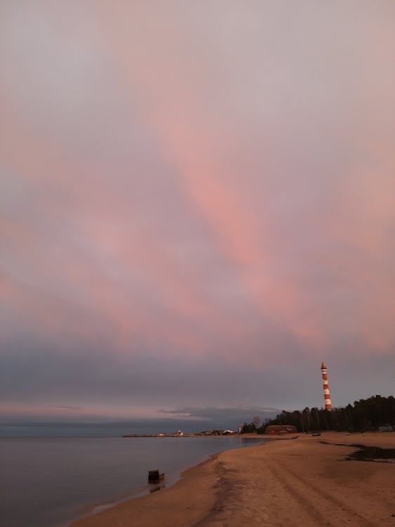 ピンクの空, 夕方, 夕時の無料の写真素材