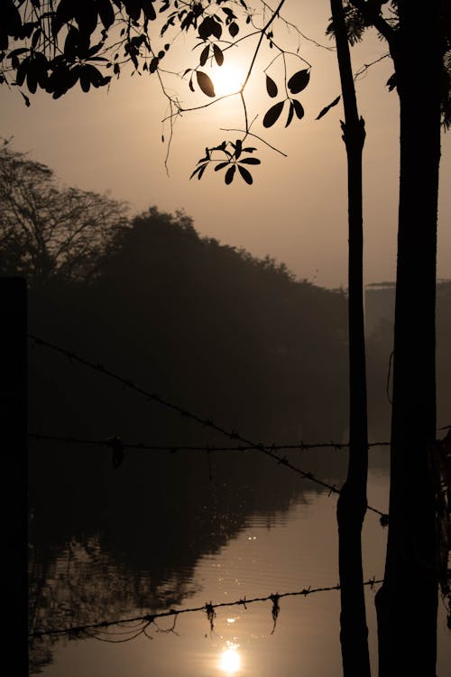 Free stock photo of pond, silhouette, sunrise dawn
