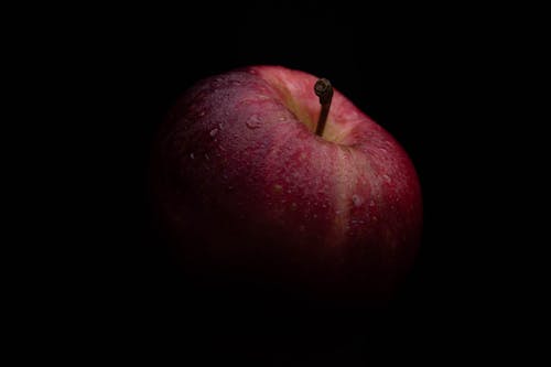 Free stock photo of apple, black, fresh