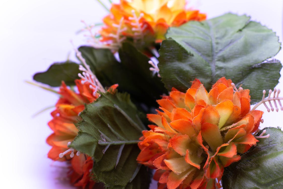 Free stock photo of artificial flowers, orange, white