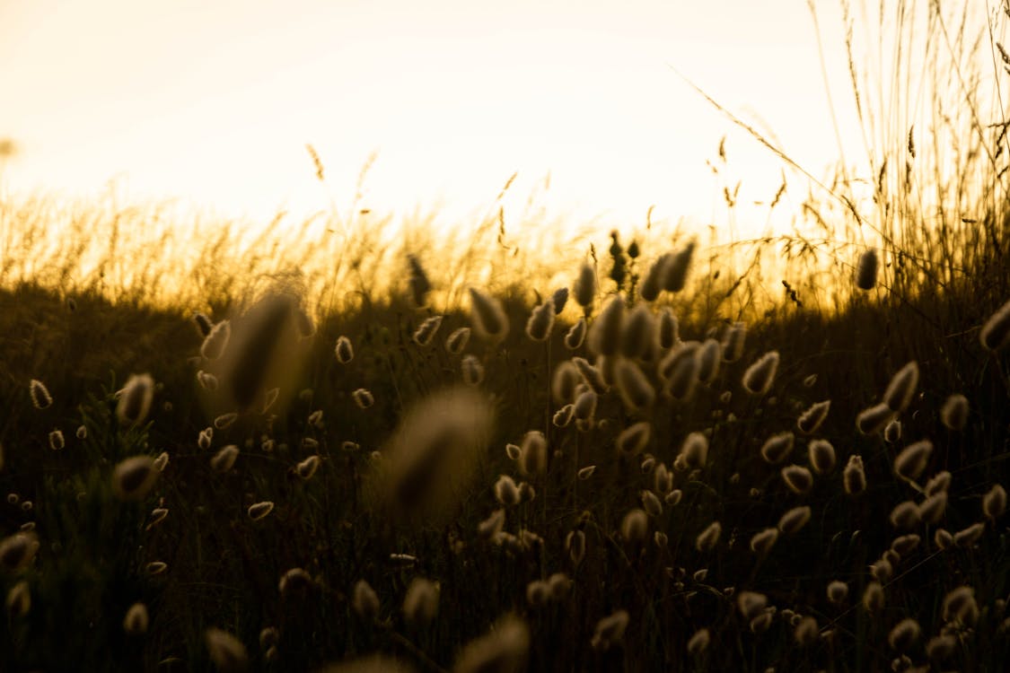 科技巨頭與國家主權的碰撞:馬斯克與辛鮑姆爭端揭示2026年數位時代的法律戰 科技巨頭與國家主權的碰撞:馬斯克與辛鮑姆爭端揭示2026年數位時代的法律戰