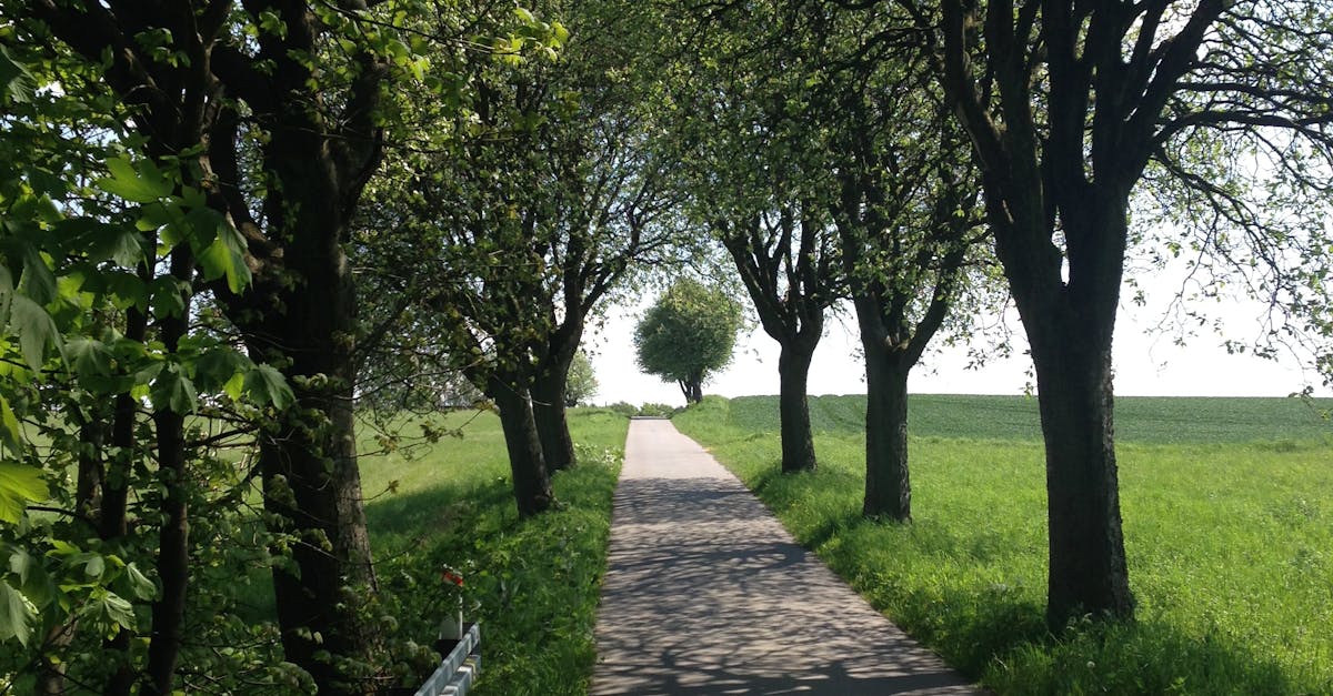 Free stock photo of country road, denmark, spring