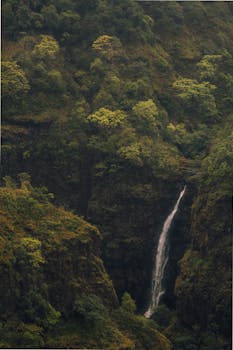 A stunning waterfall cascades through a lush green valley in Lonavla, India, showcasing nature's beauty.