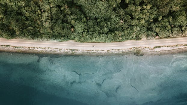 Drone shot of a scenic empty coastal road beside a forest and clear blue water.