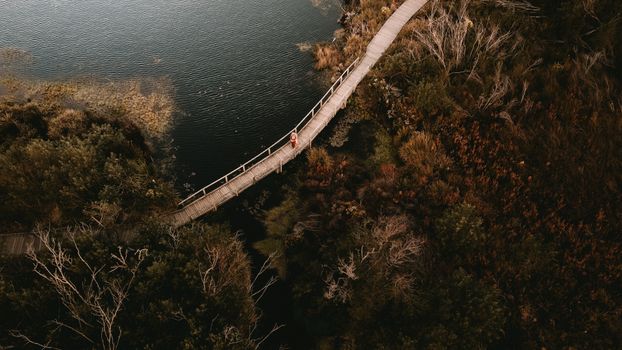 鸟瞰图：一个人走在开普敦风景优美的湿地木桥上