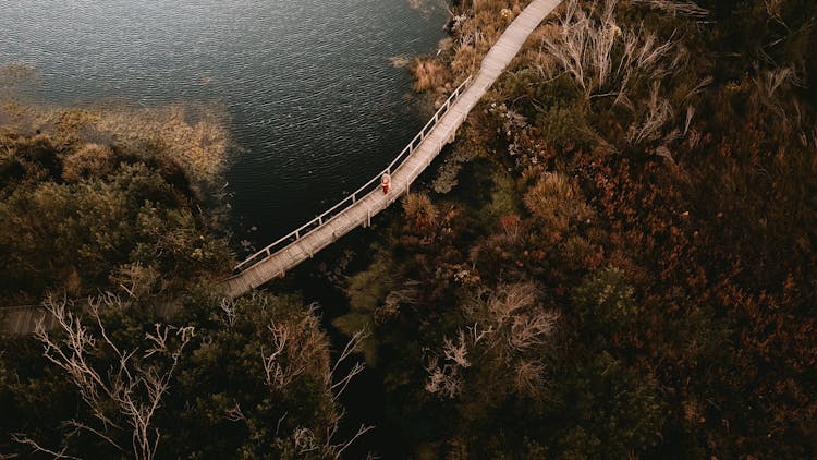 Aerial View Of A Person Walking On A Wooden Bridge