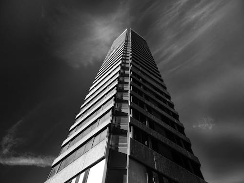 무료 건물의 회색조 사진 스톡 사진