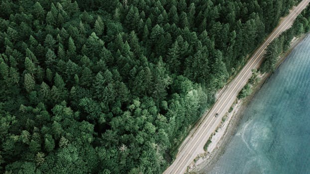 Drone shot of a winding road through lush forest along a scenic coastline.