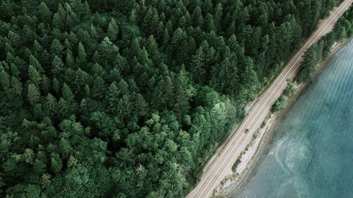 Free Drone shot of a winding road through lush forest along a scenic coastline. Stock Photo