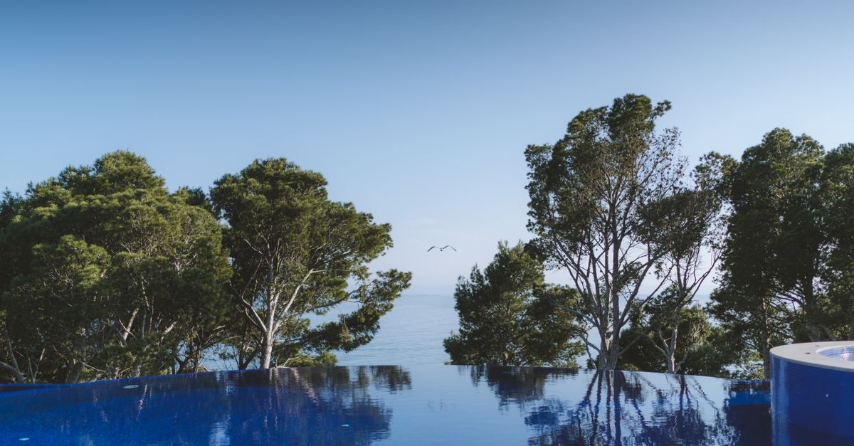 Infinity pool reflecting calm blue skies and lush trees, featuring a serene ocean view.