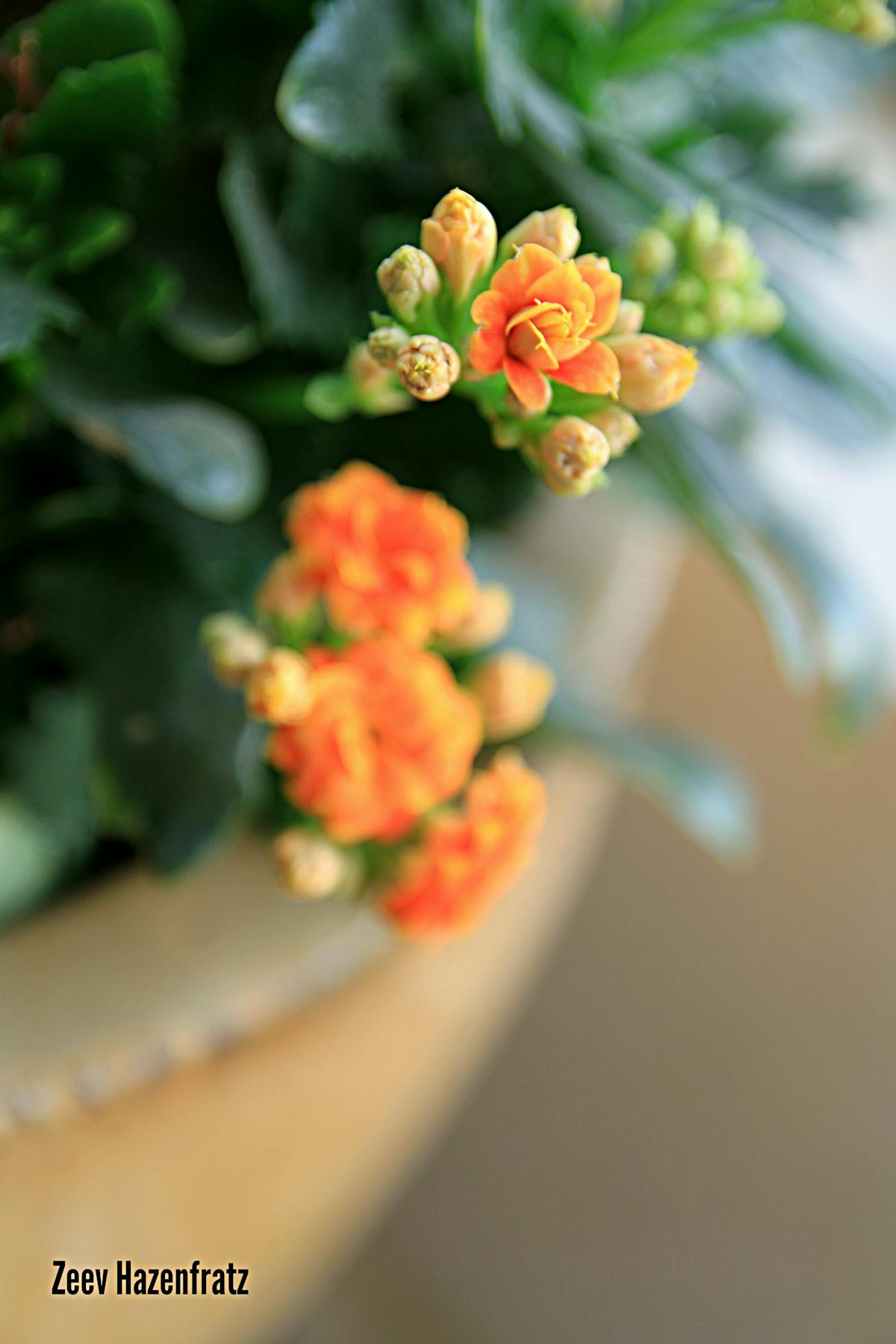 Cover image for Accountability vs Influence