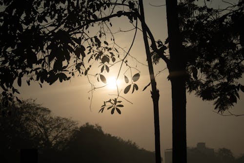 Free stock photo of black wallpaper, silhouette, sun