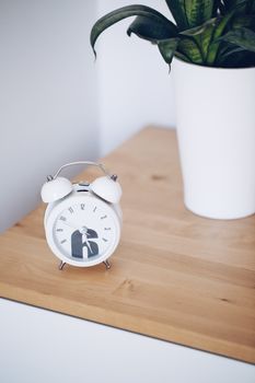 A minimalist scene with a white alarm clock and snake plant on a light wood table.