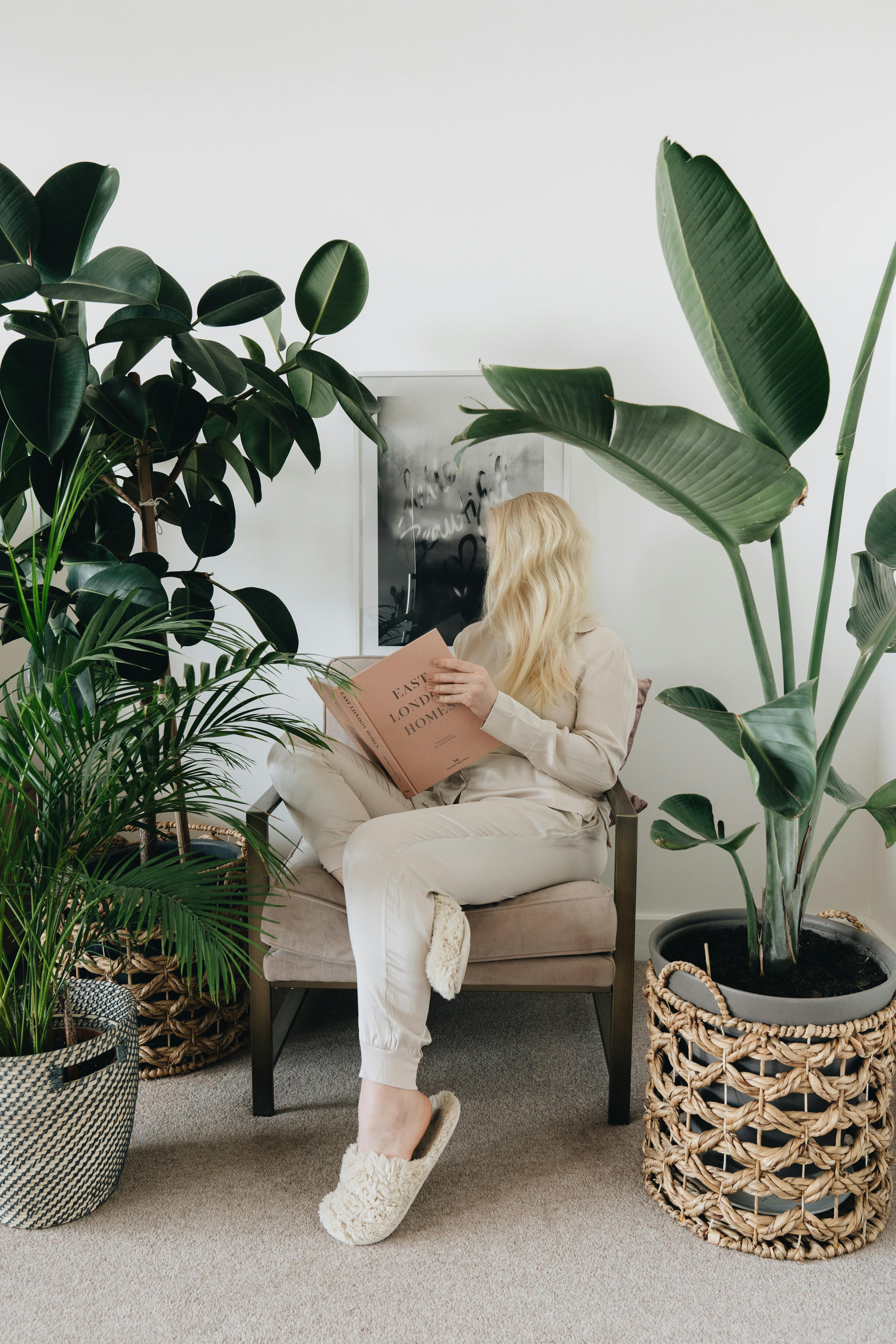 Free A Woman Sitting on a Chair Reading a Book Stock Photo