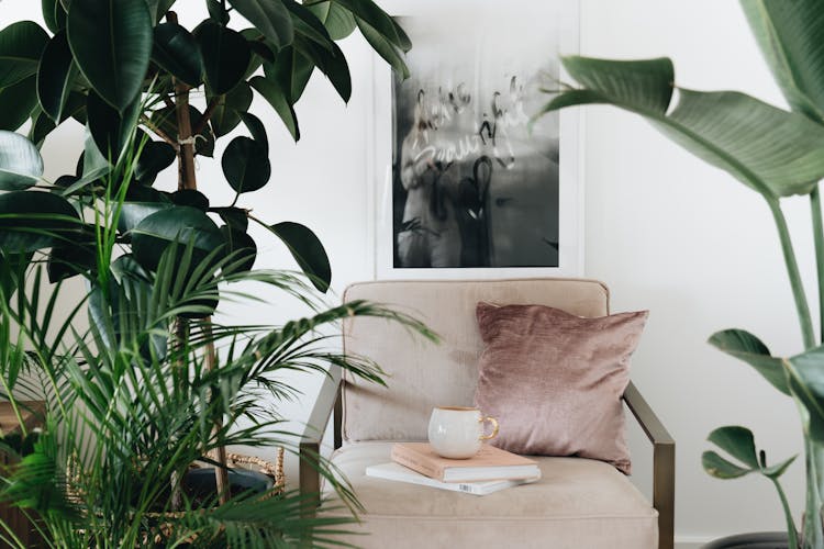 Green Plant On Brown Wooden Table