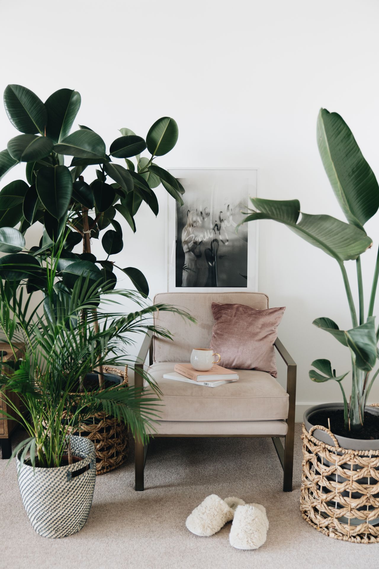 Living room with houseplants and an armchair by the window