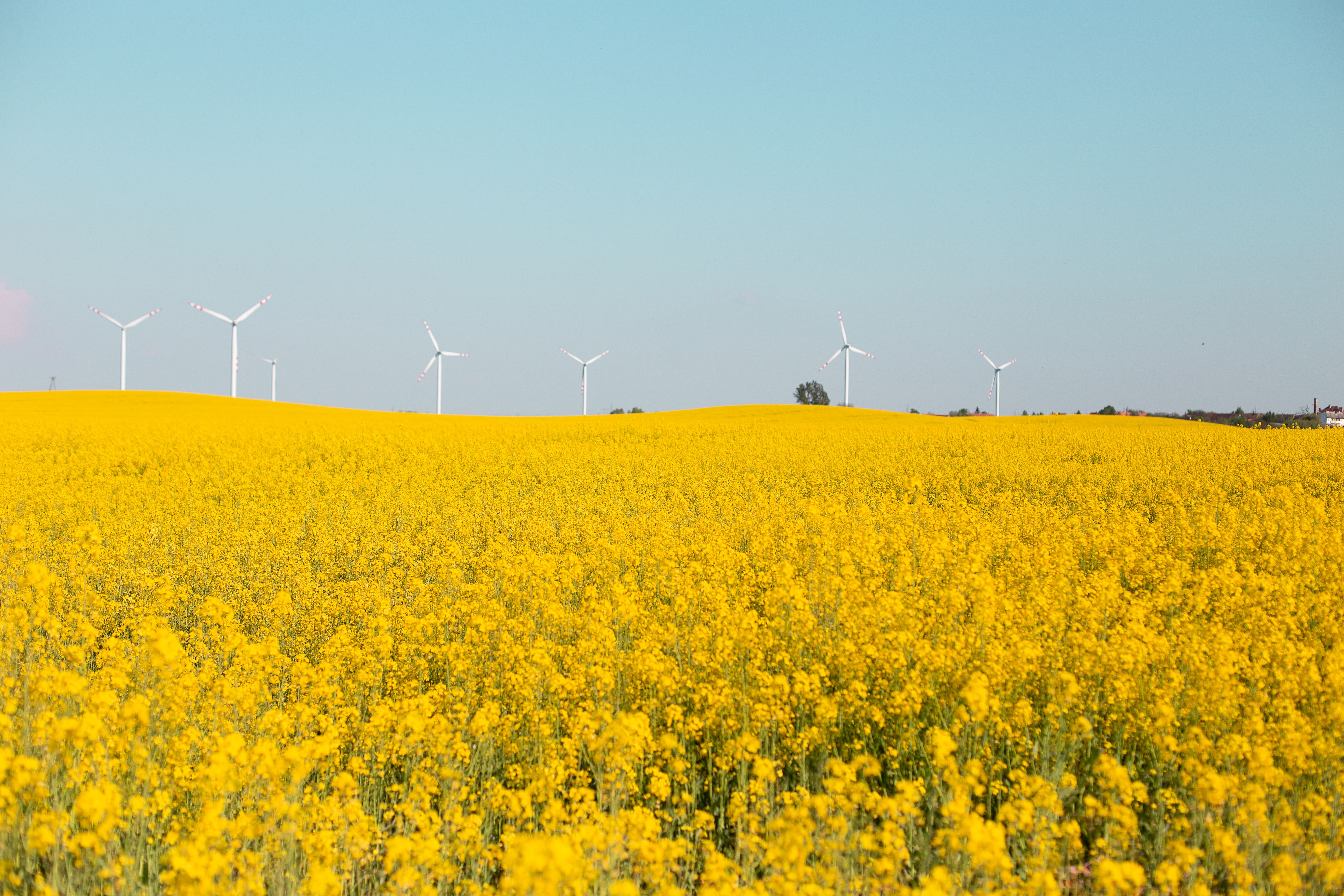7 Benefits of Renewable Energy Use — Photo by klaudia zolkos urbanek on Pexels