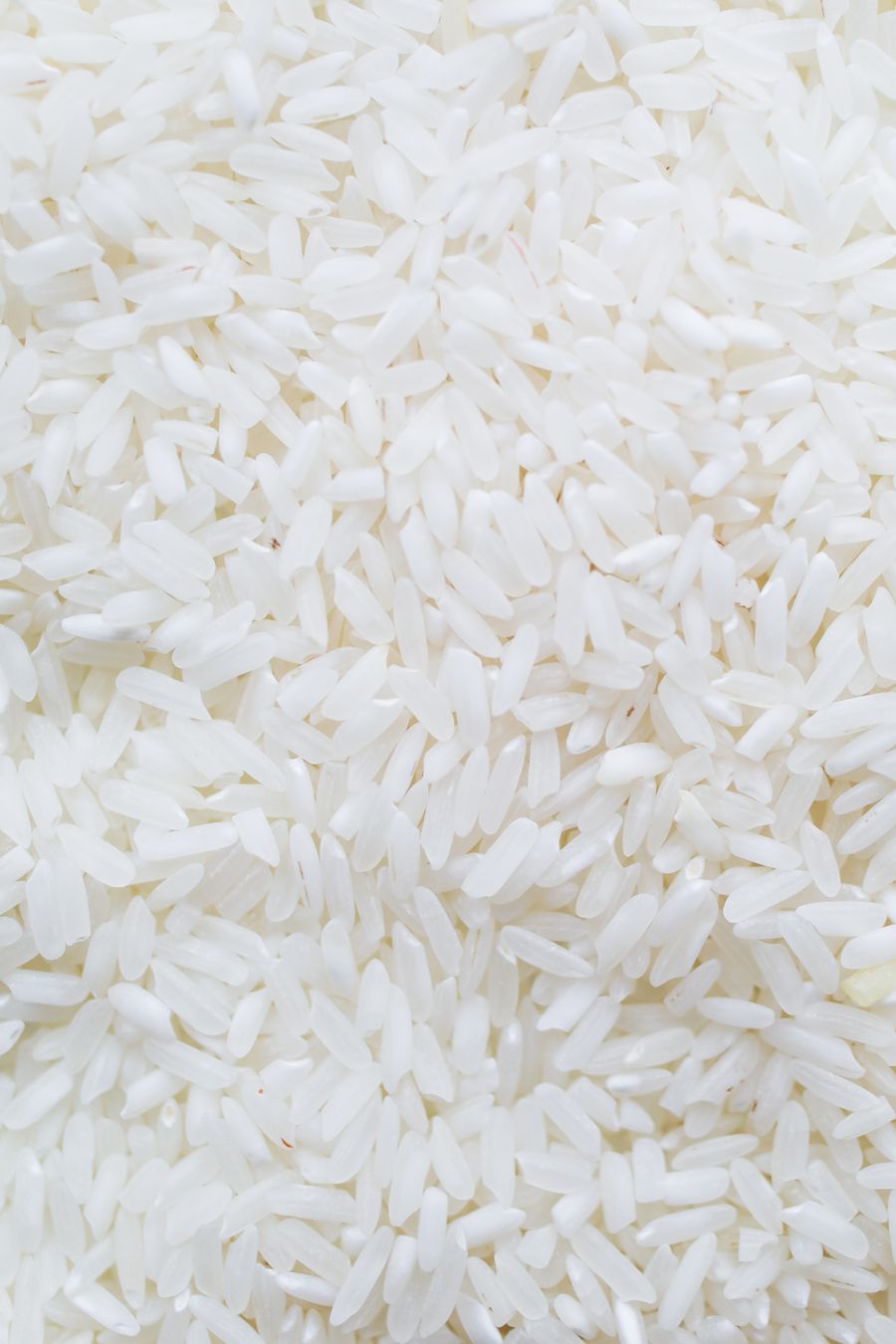 Close-up of broken rice grains