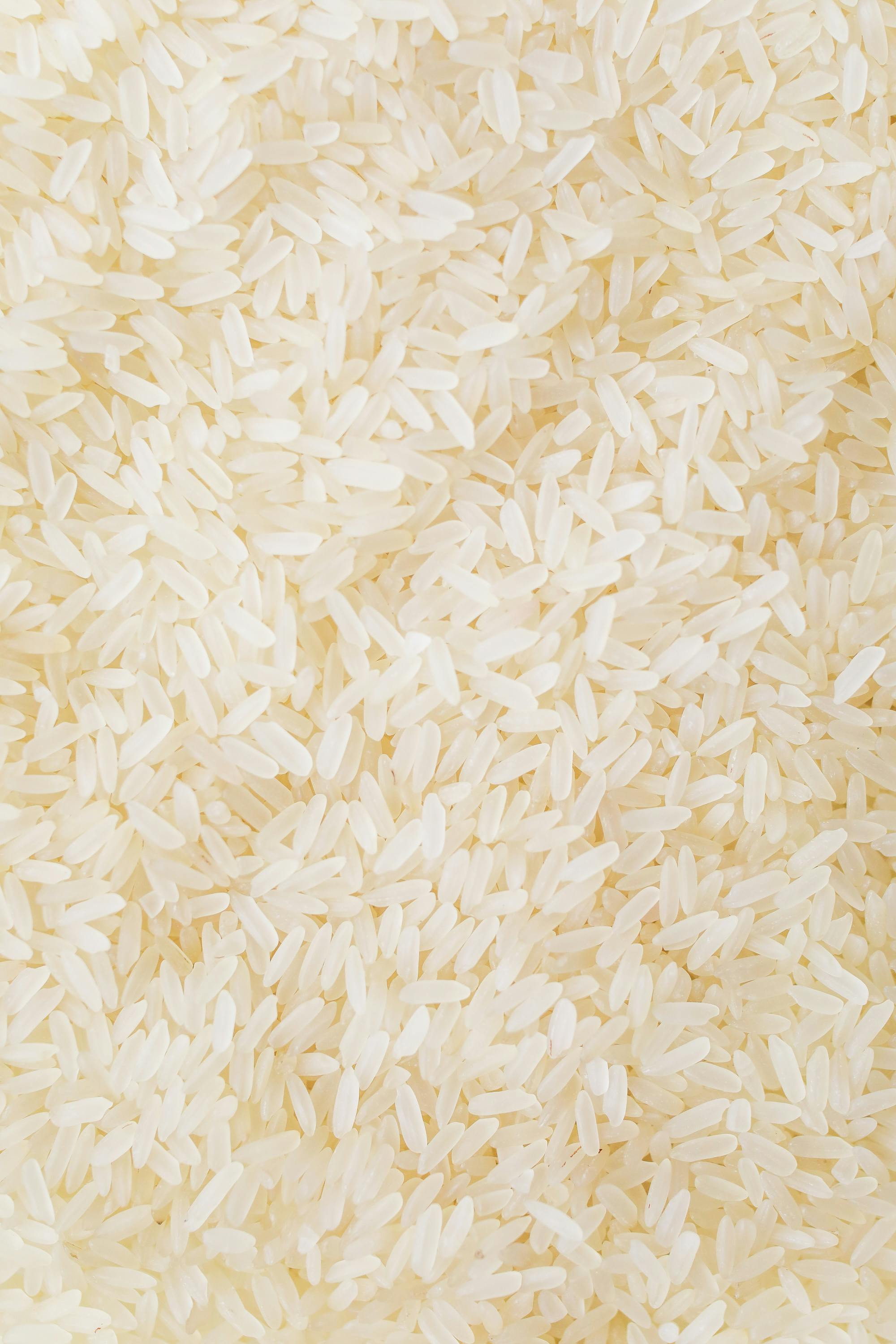 rice in close up photography