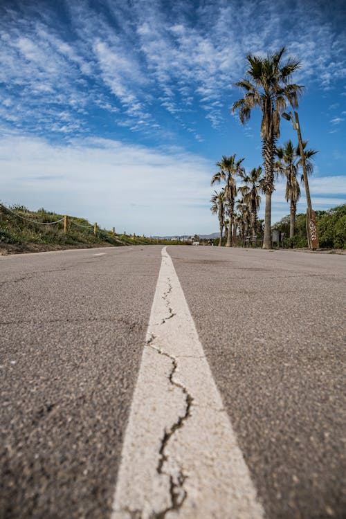 Foto profissional grátis de carretera asfaltada, cielo azul, palmeras