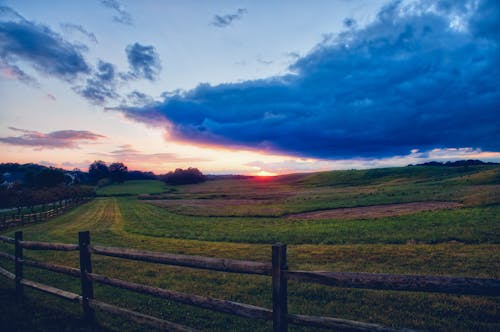 Free stock photo of cool, farm, fence