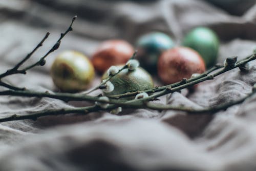 Ilmainen kuvapankkikuva tunnisteilla Hyvää pääsiäistä, juhla, lähikuva