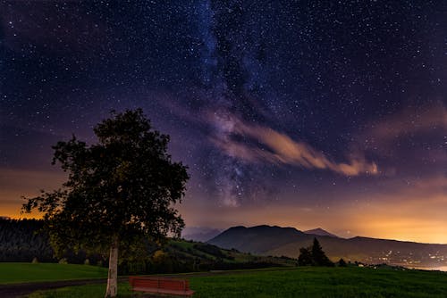 Δωρεάν στοκ φωτογραφιών με baum in der nacht, milchstrasse, nacht