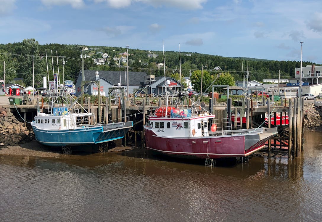 Free stock photo of alma, bay of fundy, boat