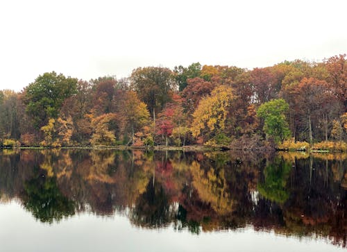 Fotobanka s bezplatnými fotkami na tému jesenné farby, jesenné listy, nádherná scenéria