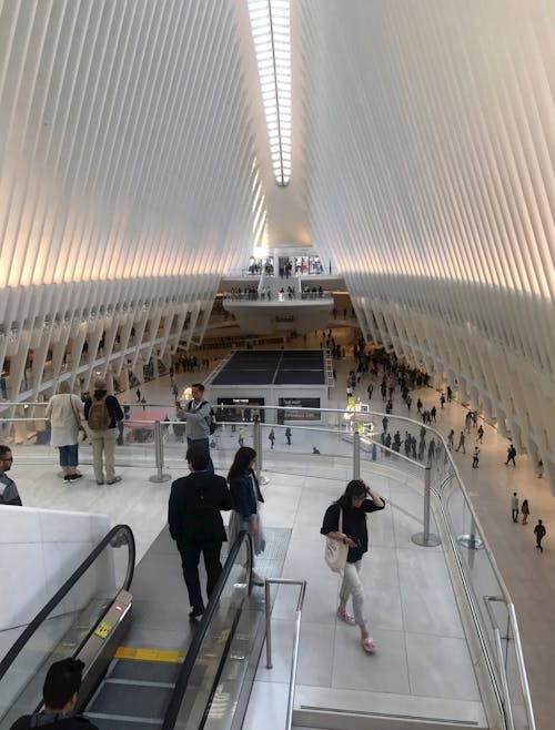 Free stock photo of marble, oculus, one world trade center