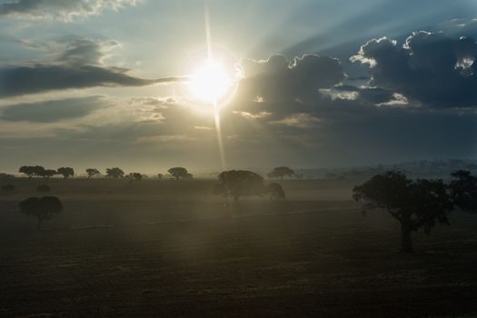 Peaceful sunrise scene with mist and scattered trees in a tranquil rural setting.