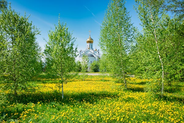 背面紫色的观叶盆栽是什么品种?-第2张图片-吾爱花网 背面紫色的观叶盆栽是什么品种?-第2张图片-吾爱花网