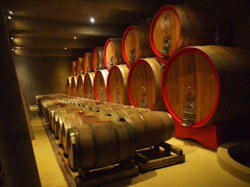 Free stock photo of bodegas winery, chile