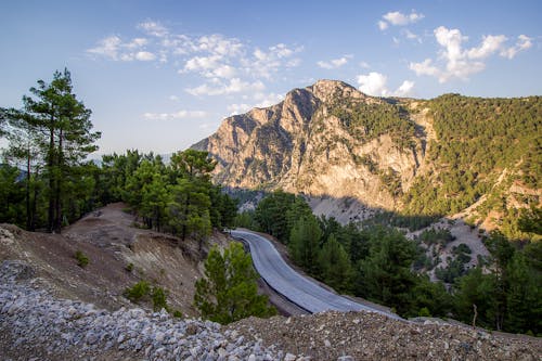 Rocky Mountains covered with Coniferous Trees