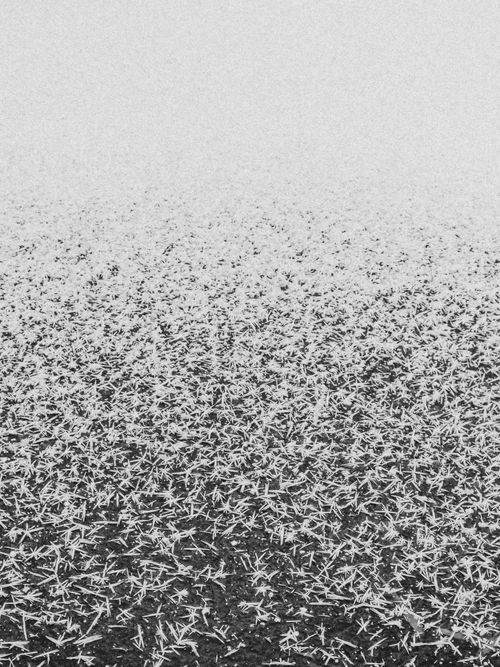Free stock photo of frightened, snow, wallpaper Stock Photo