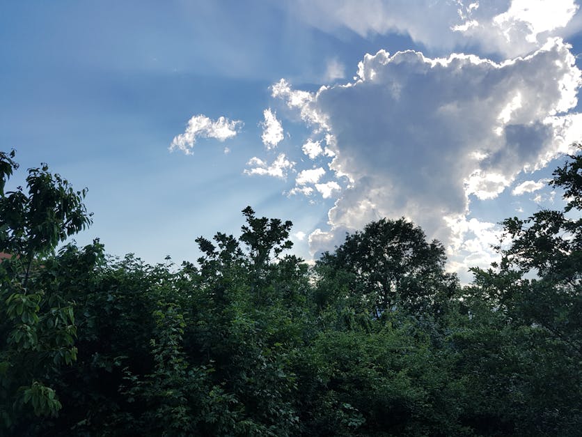 Free stock photo of cloud, forest, mothernature