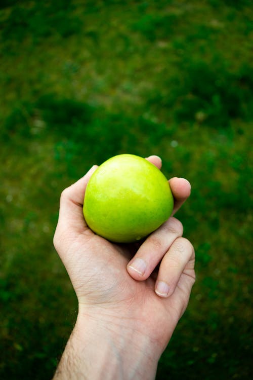 Close Up Shot of a Person Holding Green Apple