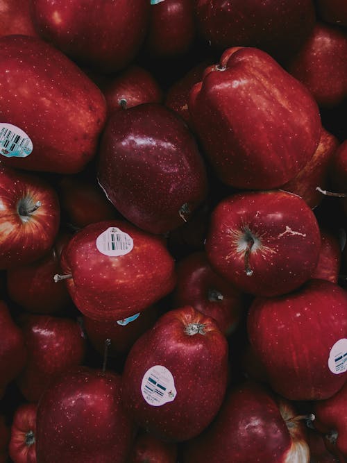 Close-up Photo of Red Apples 