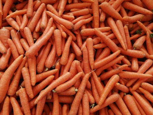 Gratis Immagine gratuita di arancia, carote, cumulo Foto a disposizione