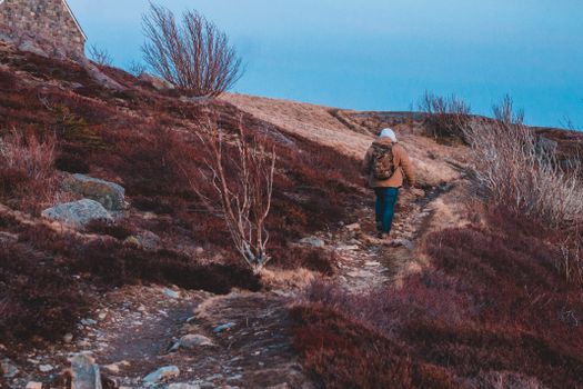 Full body back view of faceless hiker in warm clothing with backpack walking on long narrow path surrounded by dry grass and leafless bushes on hill under vibrant blue sky